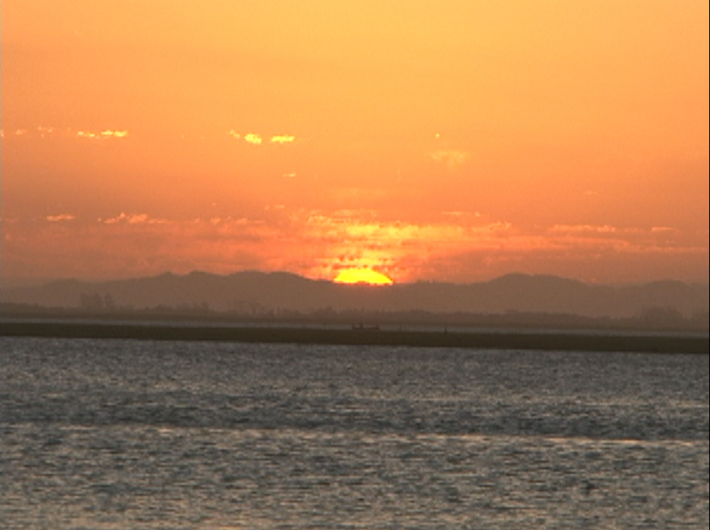 LAGUNA, TODOS OS DIAS