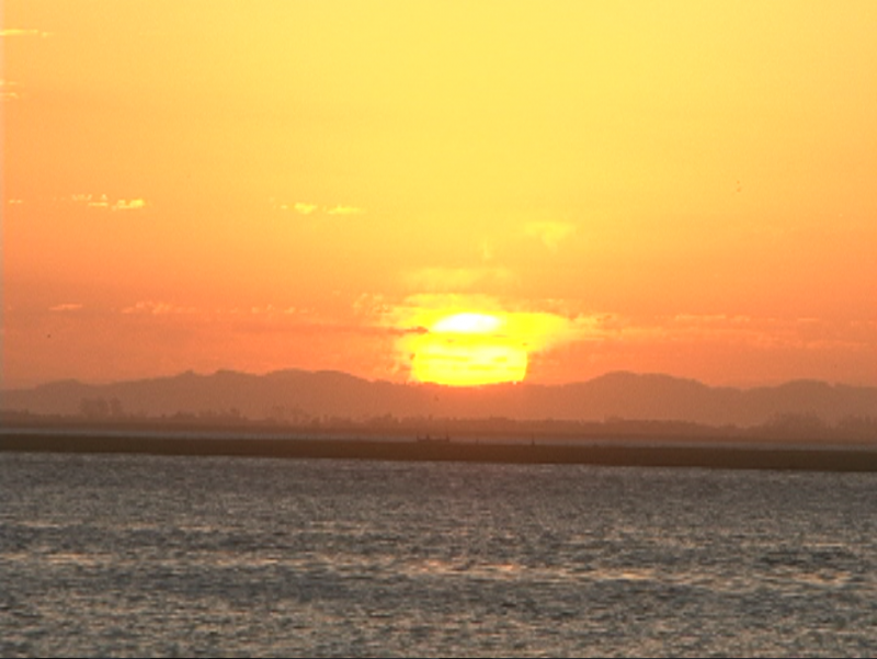 LAGUNA, TODOS OS DIAS