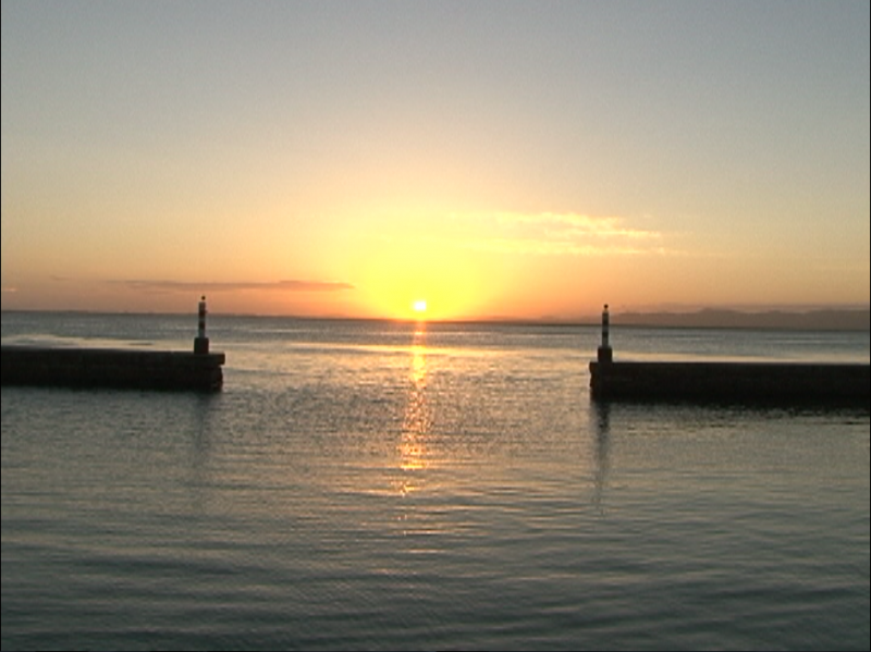 LAGUNA, TODOS OS DIAS